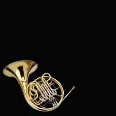 French horn