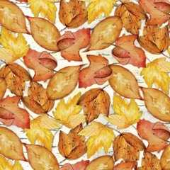 Lake & lodge fall colours