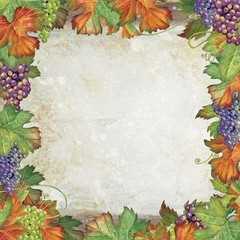 Grape leaf Grape leaf