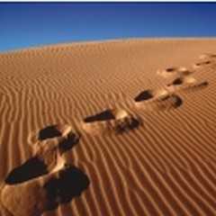 Footprints in sand