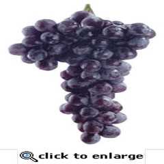 Grapes mini die cut Grapes mini die cut