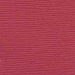 Watermelon a4 bazzill Watermelon a4 bazzill