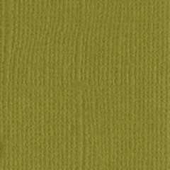 Pickle a4 bazzill Pickle a4 bazzill