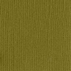 Gecko a4 bazzill Gecko a4 bazzill