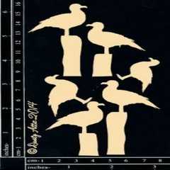 Dusty attic seagulls