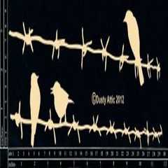 Dusty attic birds on barb wire