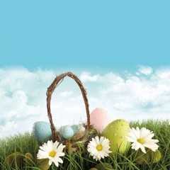 Easter basket Easter basket